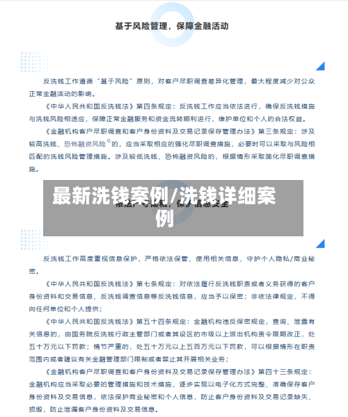 最新洗钱案例/洗钱详细案例