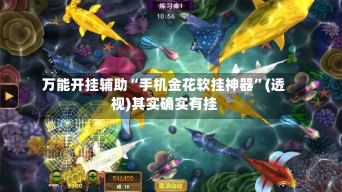 万能开挂辅助“手机金花软挂神器”(透视)其实确实有挂-第2张图片