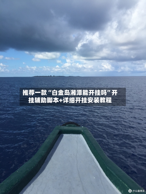 推荐一款“白金岛湘潭能开挂吗	”开挂辅助脚本+详细开挂安装教程-第3张图片