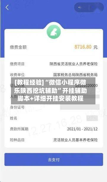 [教程经验]“微信小程序微乐陕西挖坑辅助	”开挂辅助脚本+详细开挂安装教程-第3张图片