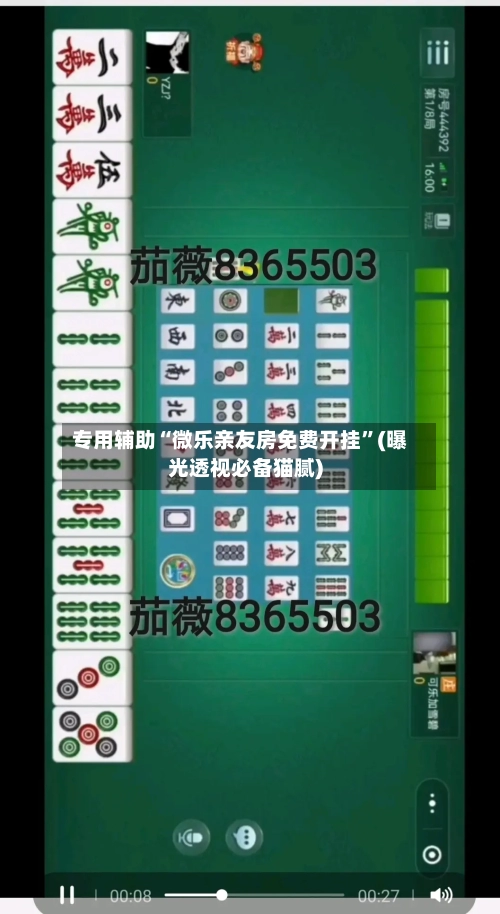 专用辅助“微乐亲友房免费开挂	”(曝光透视必备猫腻)-第2张图片
