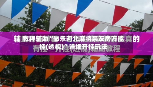 教程辅助“微乐河北麻将亲友房万能挂(透视)”详细开挂玩法-第2张图片