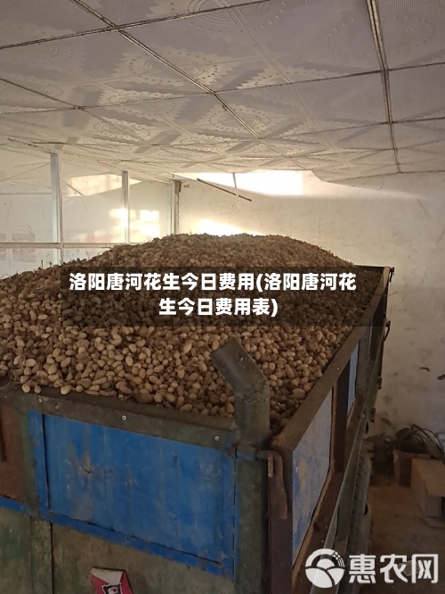 洛阳唐河花生今日费用(洛阳唐河花生今日费用表)