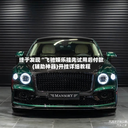 终于发现“飞驰娱乐挂先试用后付款(辅助神器)开挂详细教程-第2张图片