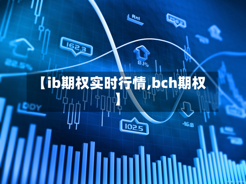 【ib期权实时行情,bch期权】-第2张图片
