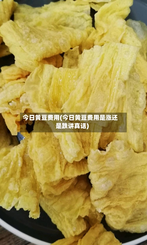 今日黄豆费用(今日黄豆费用是涨还是跌讲真话)