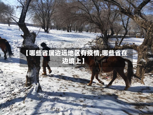 【哪些省属边远地区有疫情,哪些省在边境上】