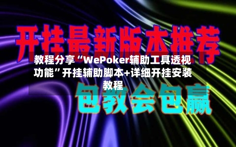 教程分享“WePoker辅助工具透视功能”开挂辅助脚本+详细开挂安装教程