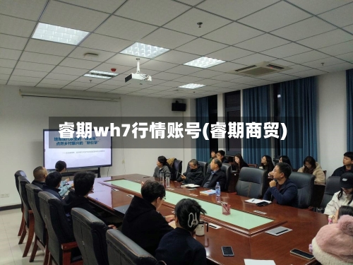 睿期wh7行情账号(睿期商贸)-第2张图片