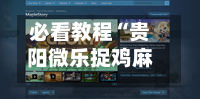 必看教程“贵阳微乐捉鸡麻将外卦神器下载安装	”(必备工具)辅助教学-第2张图片