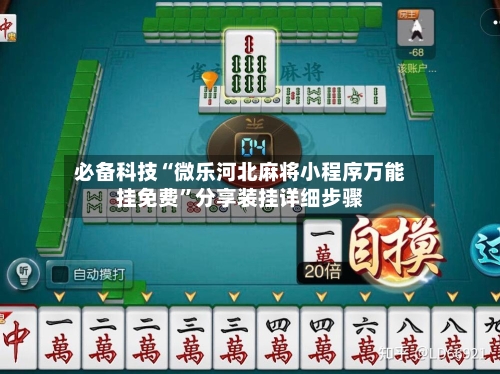 必备科技“微乐河北麻将小程序万能挂免费”分享装挂详细步骤-第2张图片