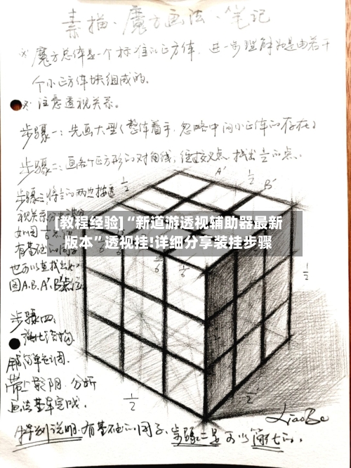 [教程经验]“新道游透视辅助器最新版本”透视挂!详细分享装挂步骤-第2张图片