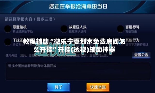 教程辅助“微乐宁夏划水免费房间怎么开挂”开挂(透视)辅助神器