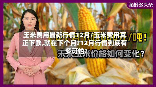 玉米费用最新行情12月/玉米费用真正下跌,就在下个月?12月行情到底有多可怕?-第2张图片