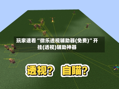 玩家速看“微乐透视辅助器(免费)	”开挂(透视)辅助神器-第2张图片
