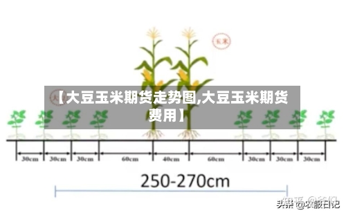 【大豆玉米期货走势图,大豆玉米期货费用】-第2张图片