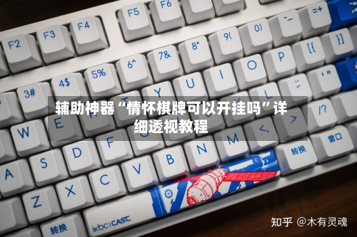 辅助神器“情怀棋牌可以开挂吗”详细透视教程-第2张图片