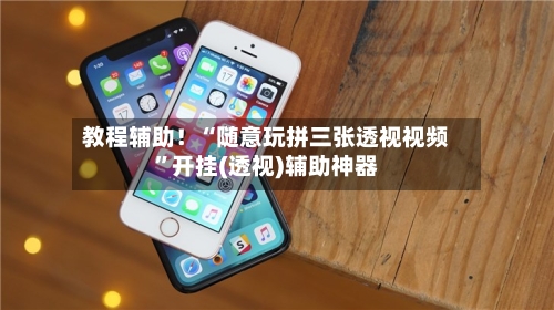 教程辅助！“随意玩拼三张透视视频”开挂(透视)辅助神器-第3张图片
