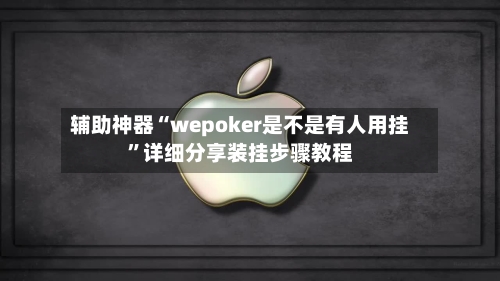 辅助神器“wepoker是不是有人用挂”详细分享装挂步骤教程-第3张图片