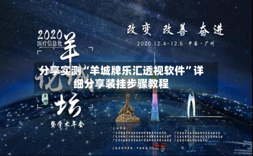 分享实测“羊城牌乐汇透视软件	”详细分享装挂步骤教程-第2张图片