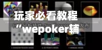 玩家必看教程“wepoker辅助工具好用吗”开挂辅助脚本+详细开挂安装教程-第2张图片