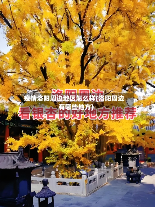 疫情洛阳周边地区怎么样(洛阳周边有哪些地方)-第2张图片