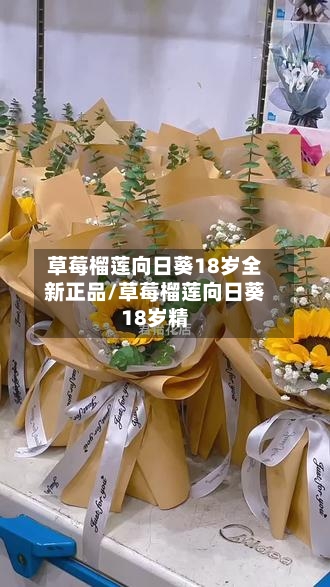 草莓榴莲向日葵18岁全新正品/草莓榴莲向日葵18岁精