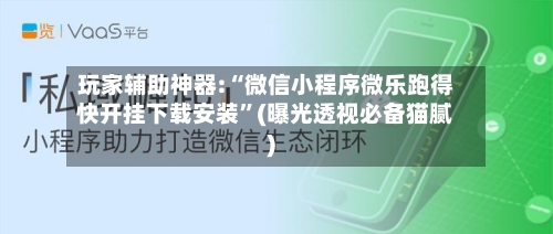 玩家辅助神器:“微信小程序微乐跑得快开挂下载安装”(曝光透视必备猫腻)-第2张图片