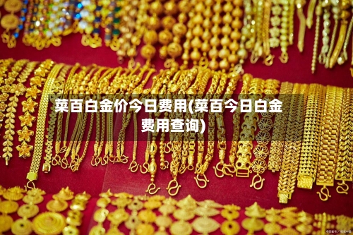 菜百白金价今日费用(菜百今日白金费用查询)