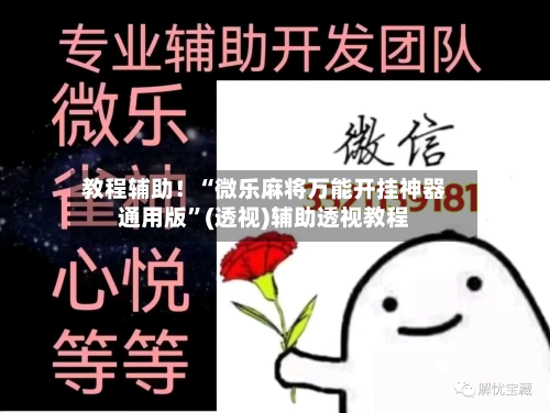 教程辅助！“微乐麻将万能开挂神器通用版”(透视)辅助透视教程-第3张图片