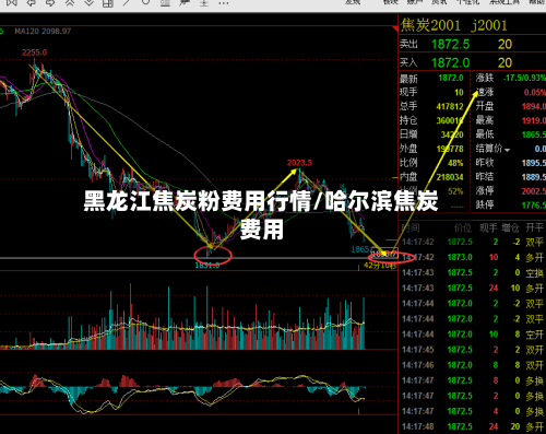 黑龙江焦炭粉费用行情/哈尔滨焦炭费用-第2张图片