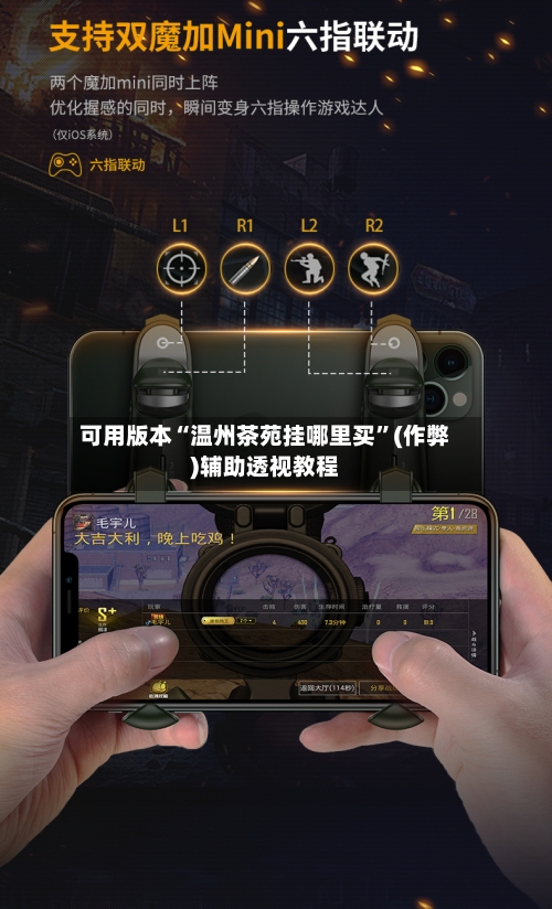 可用版本“温州茶苑挂哪里买”(作弊)辅助透视教程-第2张图片