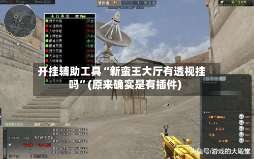 开挂辅助工具“新蛮王大厅有透视挂吗”(原来确实是有插件)-第2张图片