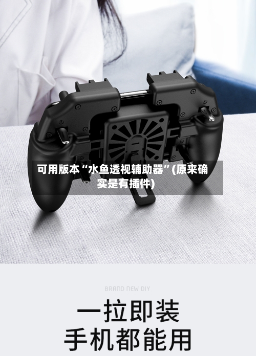 可用版本“水鱼透视辅助器”(原来确实是有插件)-第2张图片