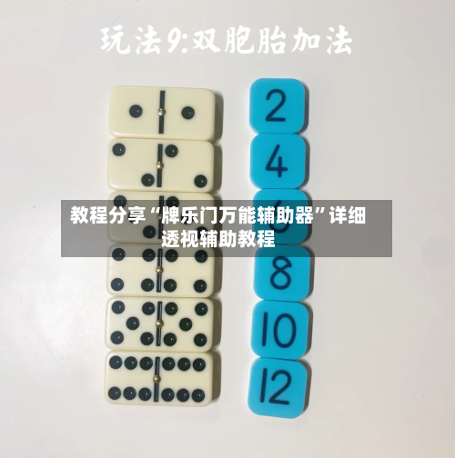 教程分享“牌乐门万能辅助器”详细透视辅助教程-第3张图片
