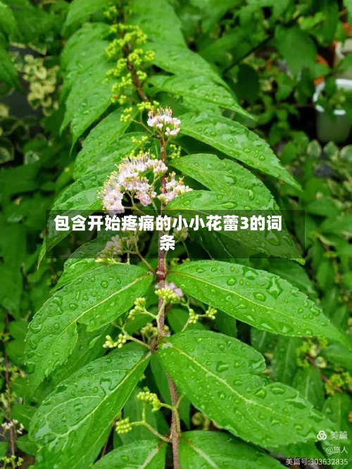 包含开始疼痛的小小花蕾3的词条