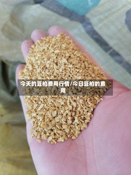今天的豆柏费用行情/今日豆柏的费用-第2张图片