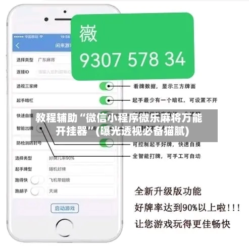 教程辅助“微信小程序微乐麻将万能开挂器”(曝光透视必备猫腻)