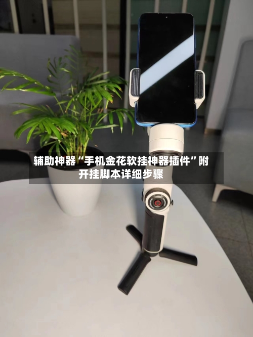 辅助神器“手机金花软挂神器插件”附开挂脚本详细步骤