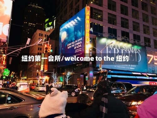 纽约第一会所/welcome to the 纽约-第2张图片