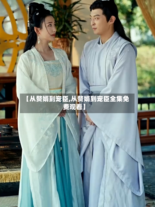【从赘婿到宠臣,从赘婿到宠臣全集免费观看】-第3张图片