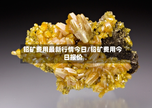 铅矿费用最新行情今日/铅矿费用今日报价-第2张图片