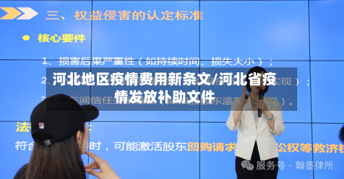 河北地区疫情费用新条文/河北省疫情发放补助文件