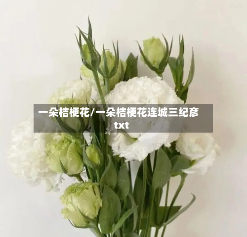 一朵桔梗花/一朵桔梗花连城三纪彦txt-第2张图片
