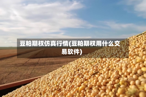 豆粕期权仿真行情(豆粕期权用什么交易软件)