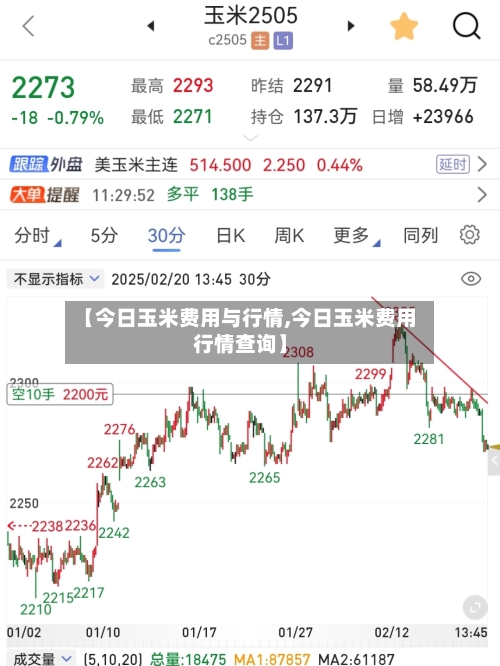 【今日玉米费用与行情,今日玉米费用行情查询】-第2张图片