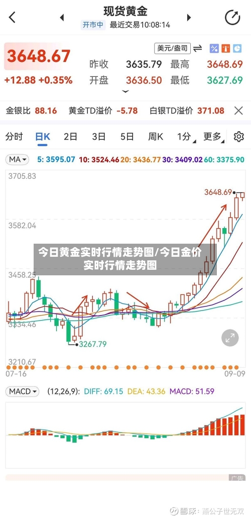 今日黄金实时行情走势图/今日金价实时行情走势图-第3张图片
