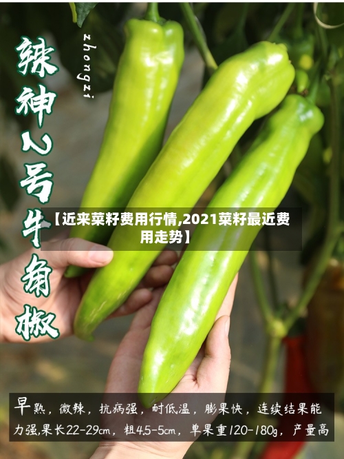 【近来菜籽费用行情,2021菜籽最近费用走势】-第2张图片