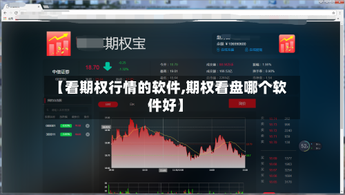 【看期权行情的软件,期权看盘哪个软件好】-第2张图片