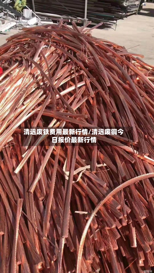 清远废铁费用最新行情/清远废铜今日报价最新行情